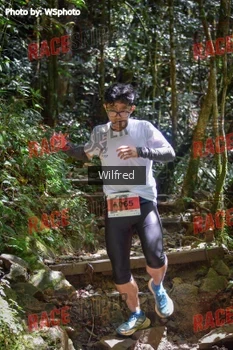 Runner Photo 341336