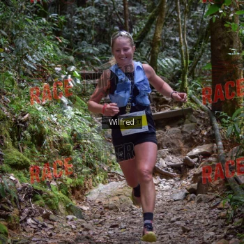 Runner Photo 341344
