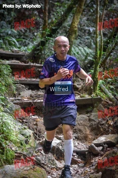 Runner Photo 341352