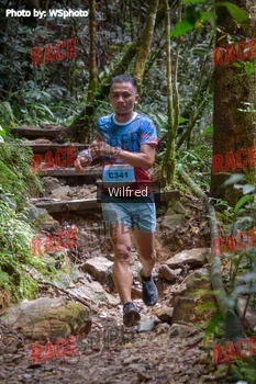 Runner Photo 341353