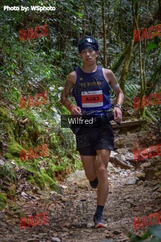 Runner Photo 341357