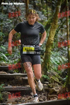 Runner Photo 341358