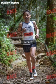 Runner Photo 341365
