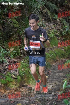 Runner Photo 341371