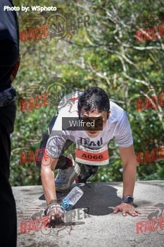 Runner Photo 341429