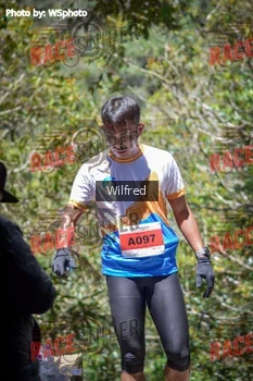 Runner Photo 341447