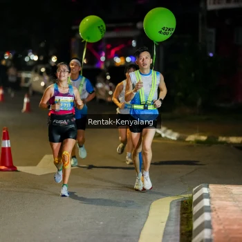 Runner Photo 3415660