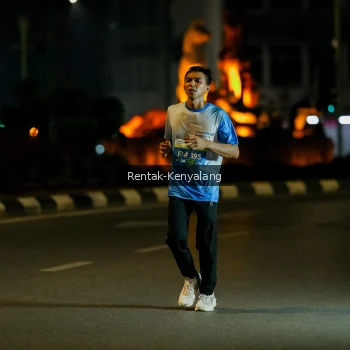 Runner Photo 3416615