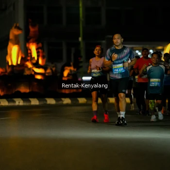 Runner Photo 3417252