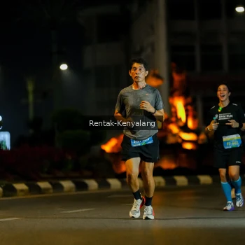 Runner Photo 3417514