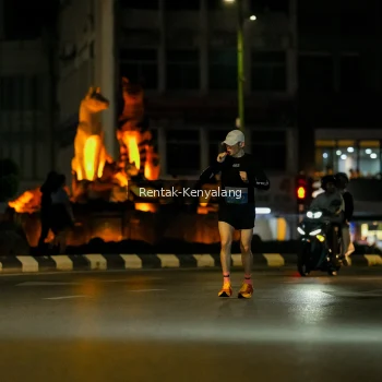 Runner Photo 3418233