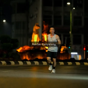 Runner Photo 3418245