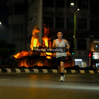 Runner Photo 3418246