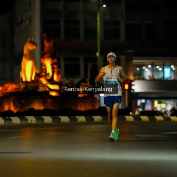 Runner Photo 3418270