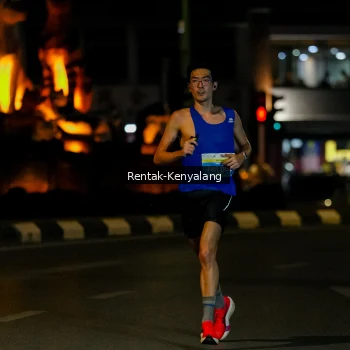 Runner Photo 3419562