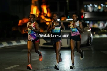 Runner Photo 3419565