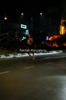 Runner Photo 3419579