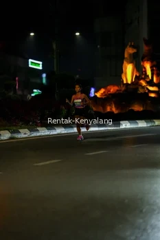 Runner Photo 3419583