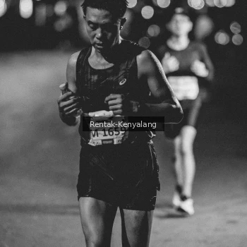 Runner Photo 3437496