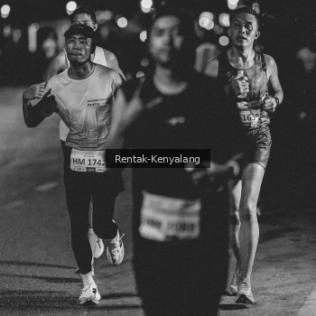 Runner Photo 3437497