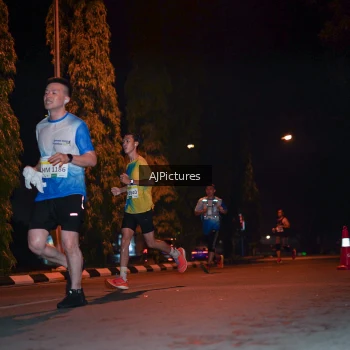 Runner Photo 3438552
