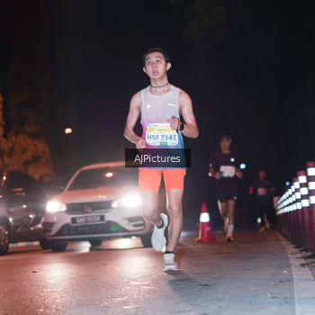 Runner Photo 3438765