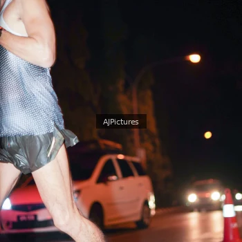 Runner Photo 3439130