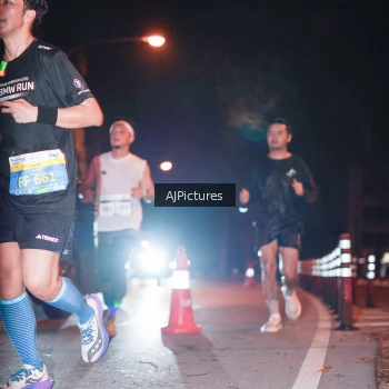 Runner Photo 3439171