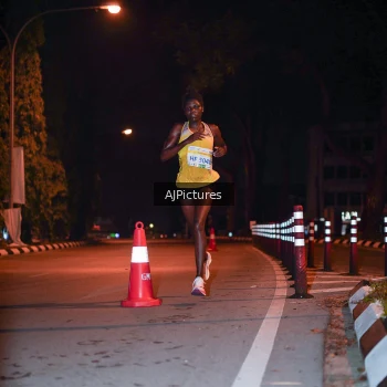 Runner Photo 3439576