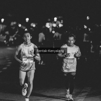 Runner Photo 3441767