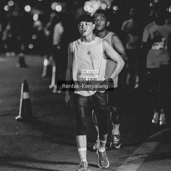 Runner Photo 3441785