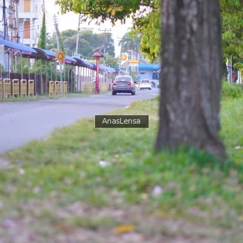 Runner Photo 3453250