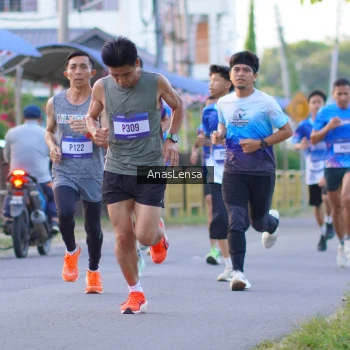 Runner Photo 3453498
