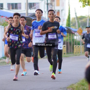 Runner Photo 3453583