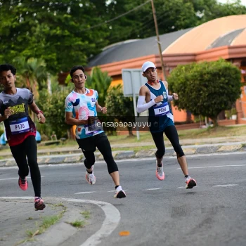 Runner Photo 3455940