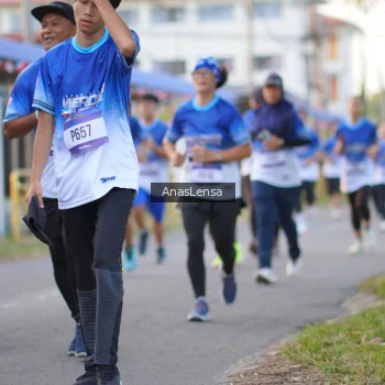 Runner Photo 3459209