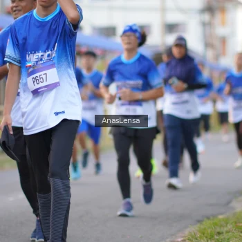 Runner Photo 3459210