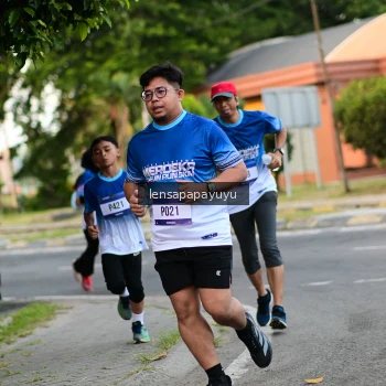 Runner Photo 3460375