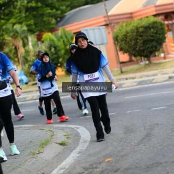 Runner Photo 3463337
