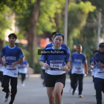 Runner Photo 3463627