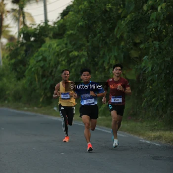 Runner Photo 3463628