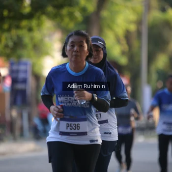 Runner Photo 3463648