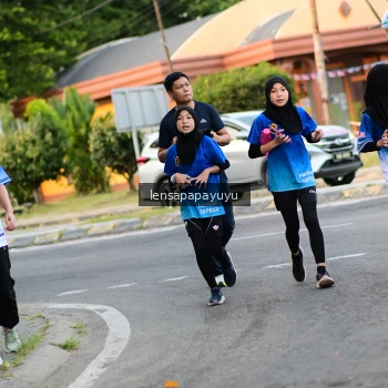 Runner Photo 3464162