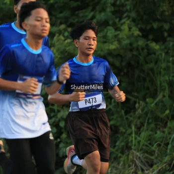 Runner Photo 3464457