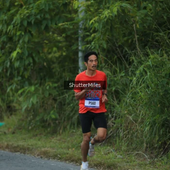 Runner Photo 3465053