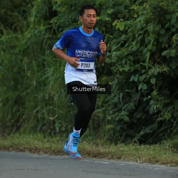 Runner Photo 3465082
