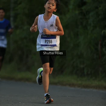 Runner Photo 3465165