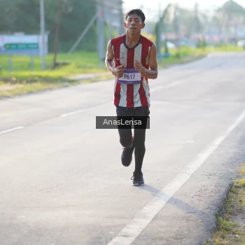 Runner Photo 3465368