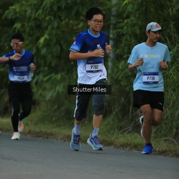 Runner Photo 3465383