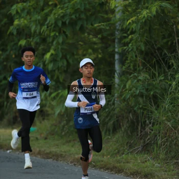 Runner Photo 3465388